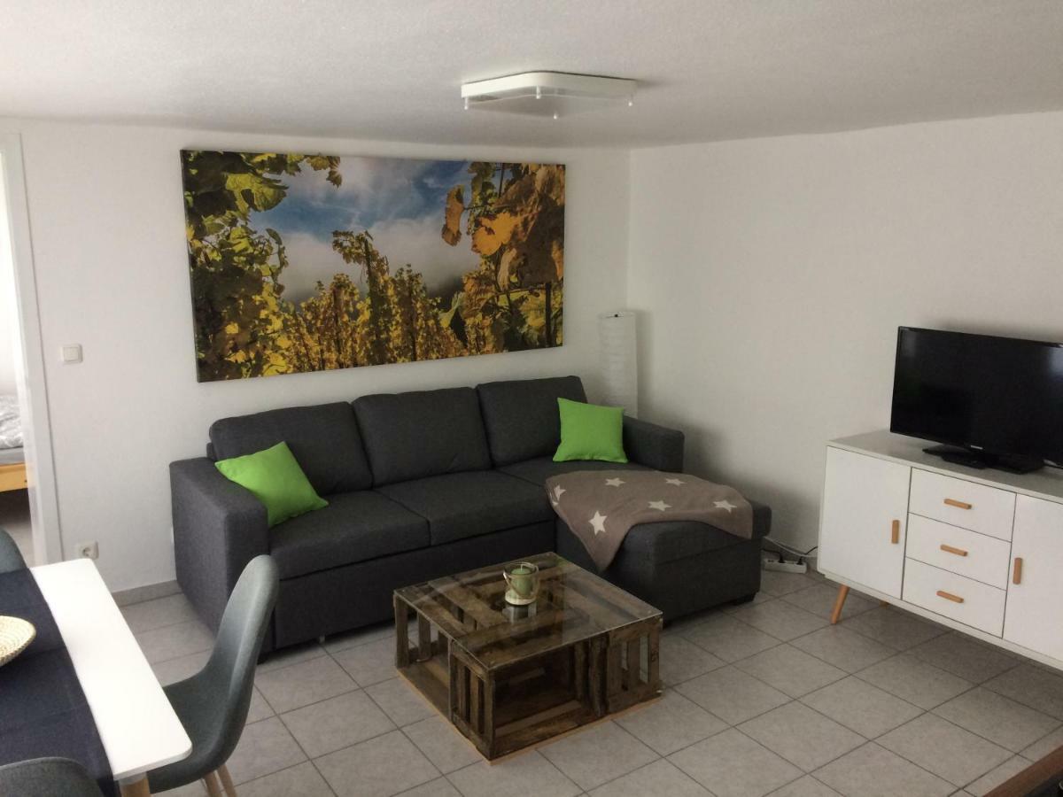 Gemütliche, Ruhig Gelegene In Apartment Cochem